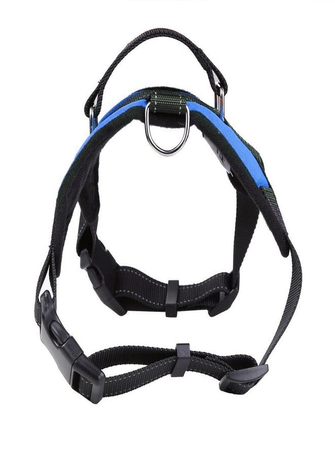 KittuPet حزام صدر وجسم للكلاب من KittuPet مناسب للكلاب المتوسطة والكبيرة والصغيرة وجميع السلالات (كبير، أزرق) - Image 4